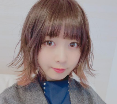 [画像]]いとくとら、現在の姿と昔を比べてみた！太ったとの声も？ | すみっこ好きの独り言