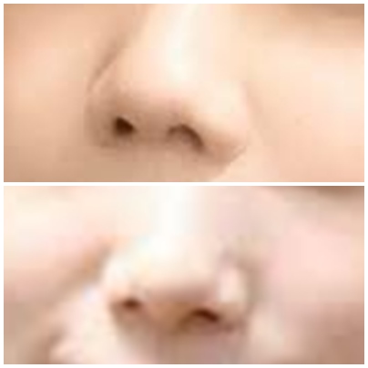 正面から見た女性の鼻